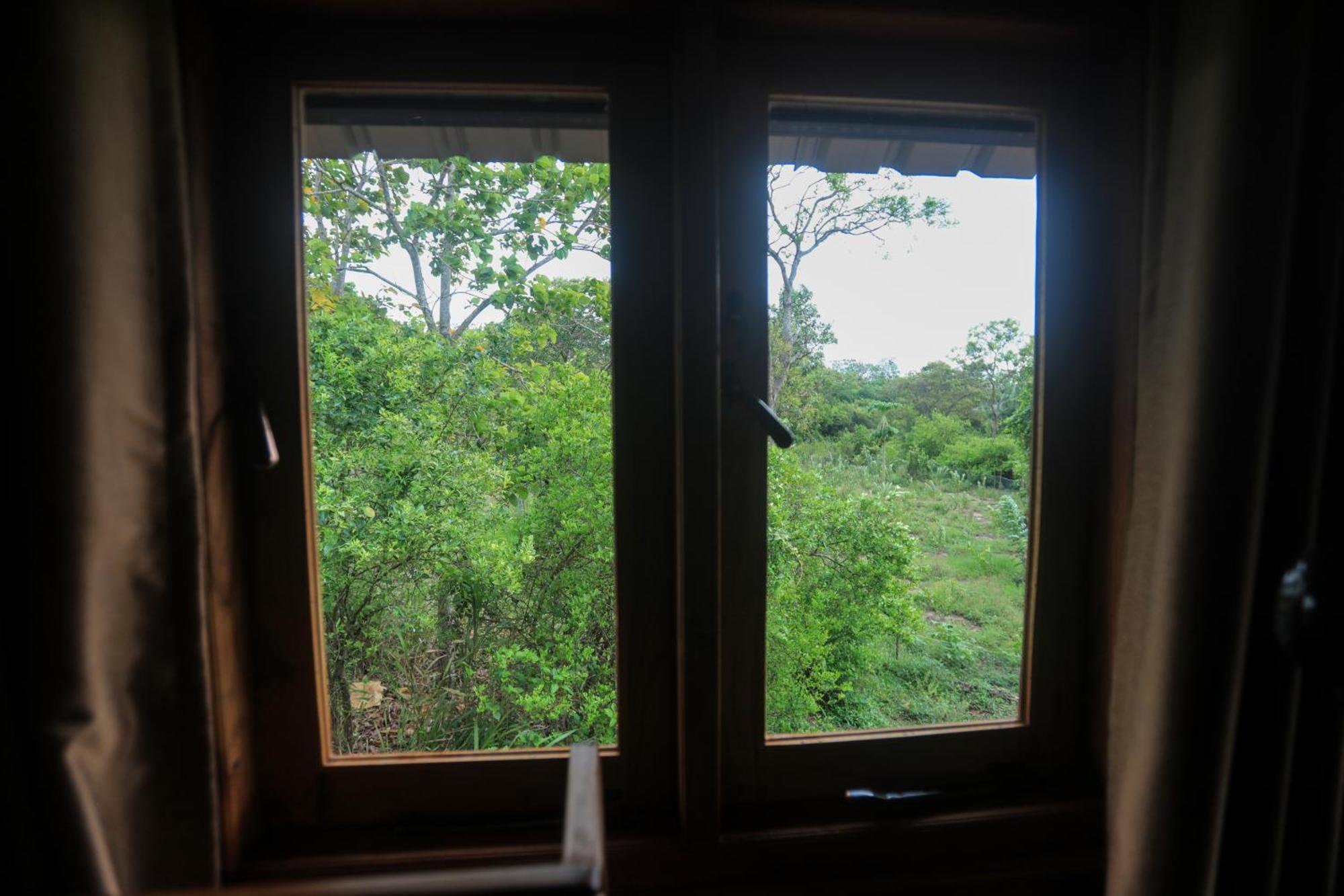 TalkoteLion Wood Treehouse别墅 外观 照片
