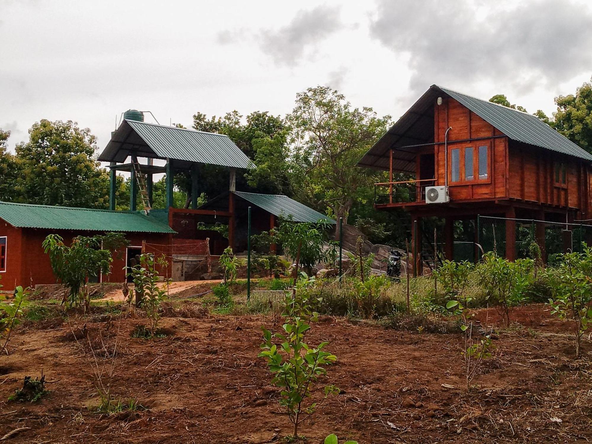 TalkoteLion Wood Treehouse别墅 外观 照片