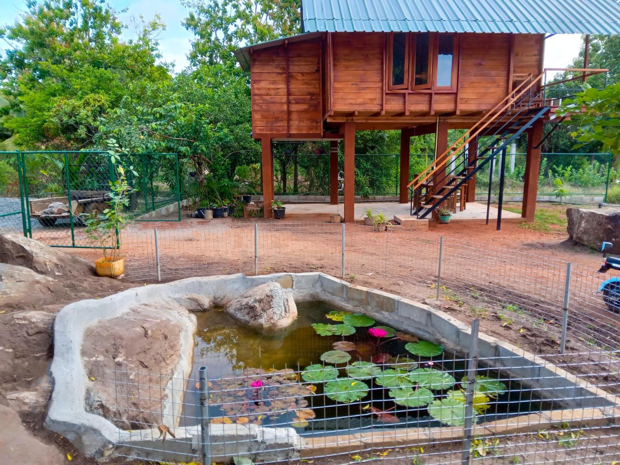 TalkoteLion Wood Treehouse别墅 外观 照片